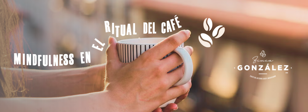 El Ritual del Café: Cómo Incorporar Mindfulness en tu Rutina Diaria ☕🧘‍♂️