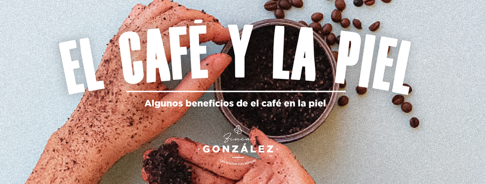 BENEFICIOS DEL CAFÉ EN LA PIEL